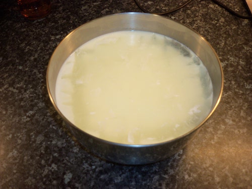 Proto-cheese, still in a bowl